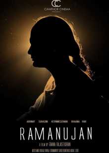 第101次求婚黄渤版