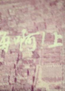 李小龙我的兄弟